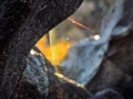 Fossil Falls