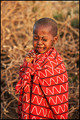 Future Masai Warrior