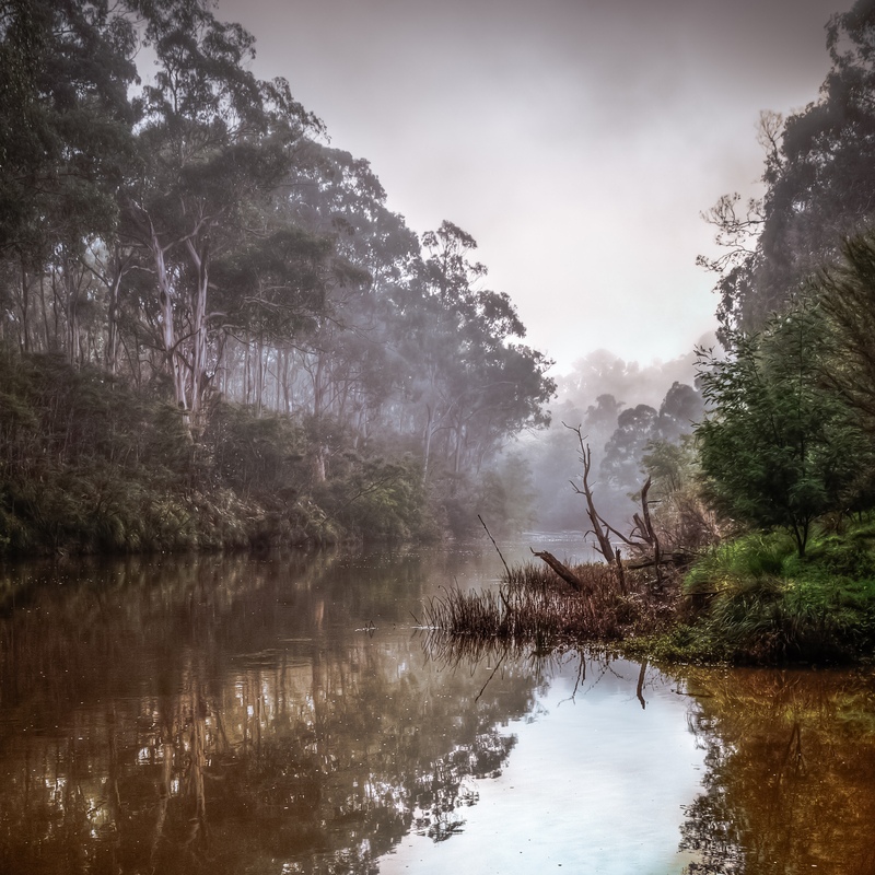 Mist on the River