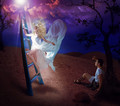 Jacob's Ladder