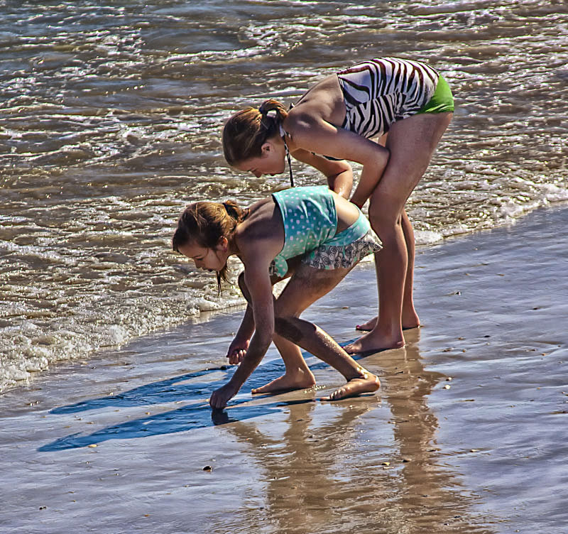 Looking for Shells