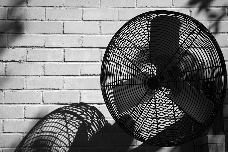 Fan & Wall