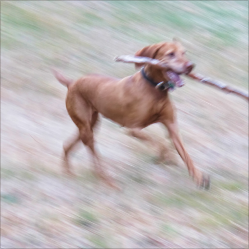 Happiness is a Big Stick