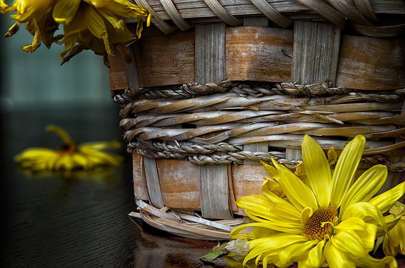 a basket of bruised blooms