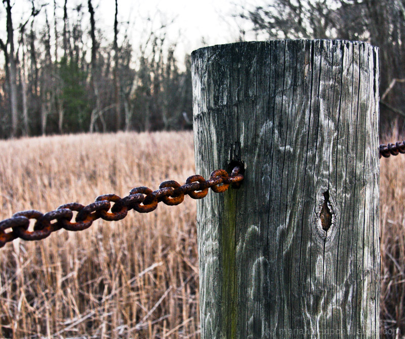 Chained Beauty