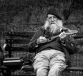 The Minstrel