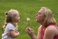 Make A Wish