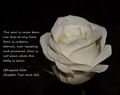 The Eternal Soul