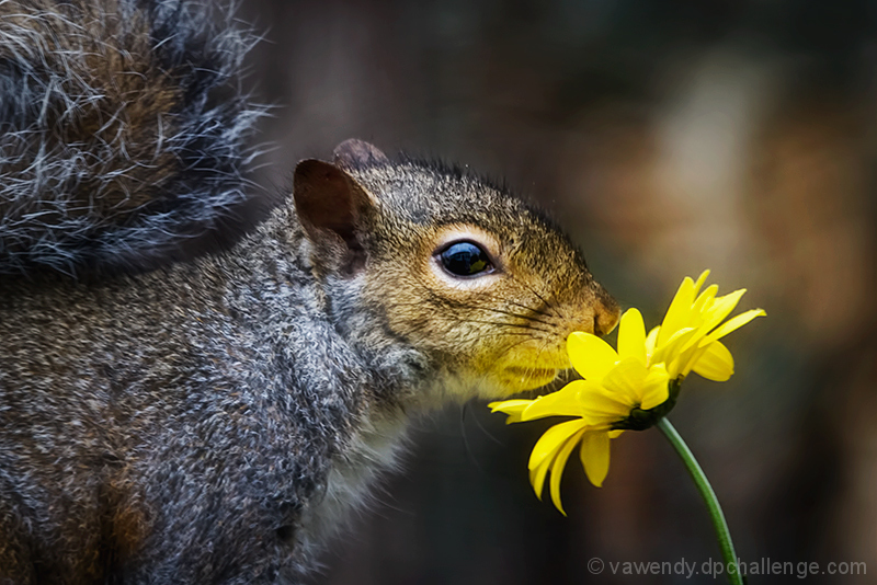 FOR SHEZ -- WHO ALWAYS REMEMBERED TO TAKE TIME TO STOP AND SMELL THE FLOWERS. I MISS YOU!!!!