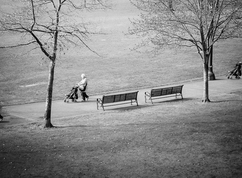 Empty Stroller Racing