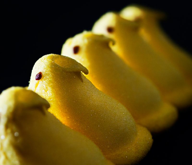 Peeps At Attention
