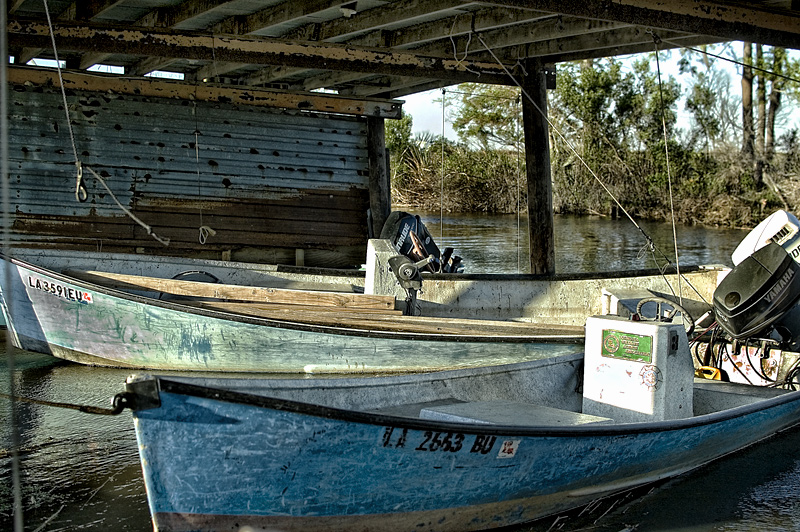 Row boats