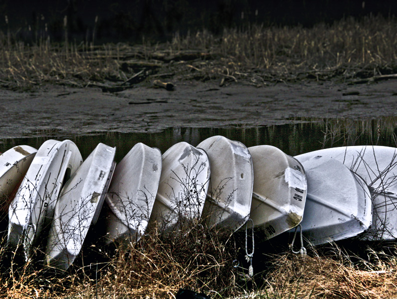 Forgotten