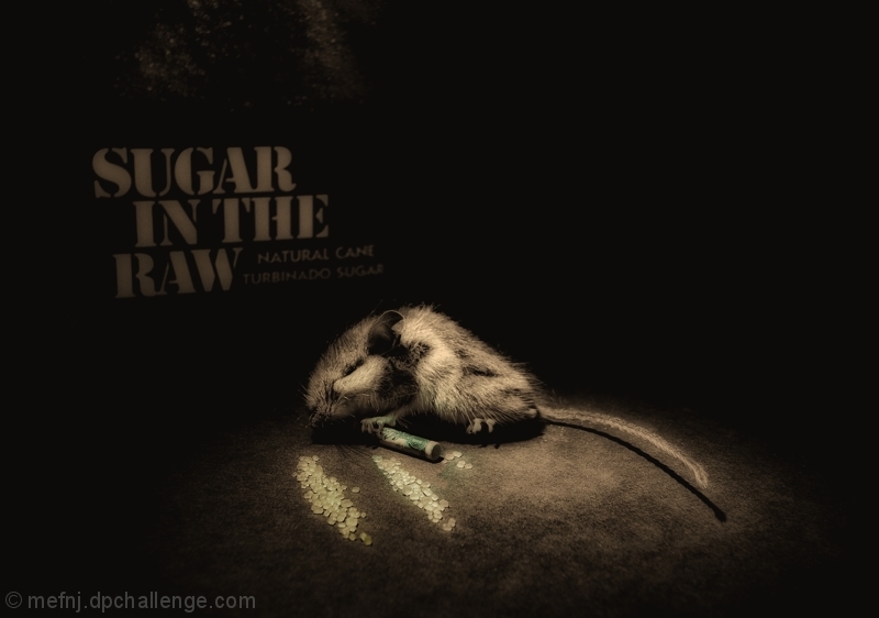 Sugar High