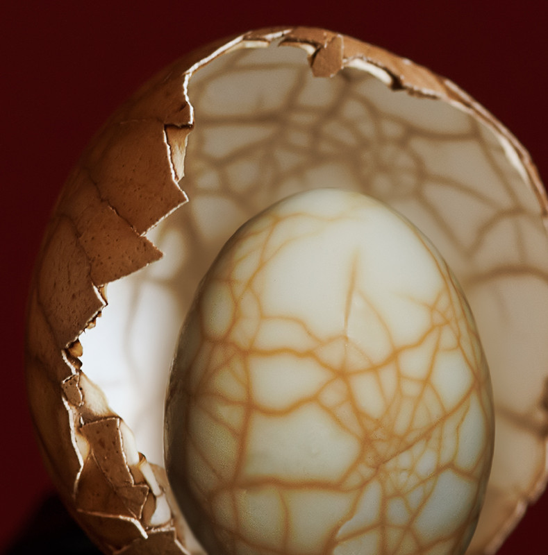 Martian Egg
