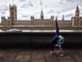 The Parliamentarian  