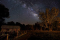 Peaceful nights