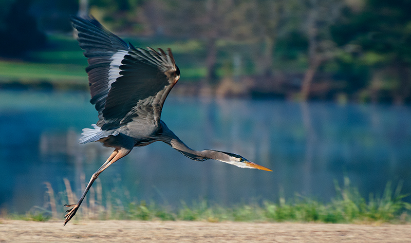 Lift Off