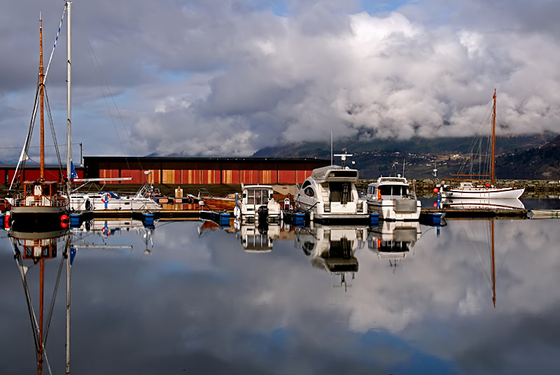 The Harbour