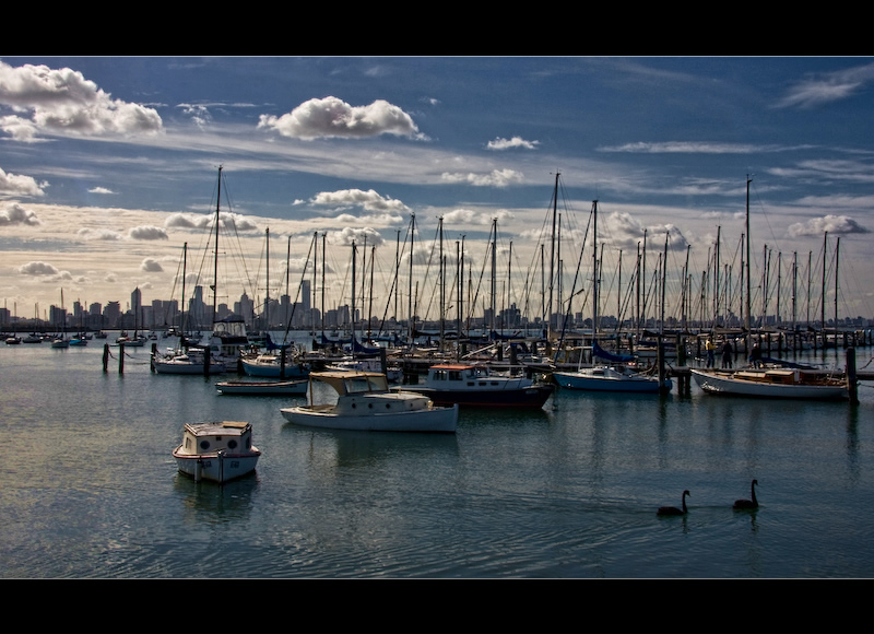 Boats & Two Black Swans