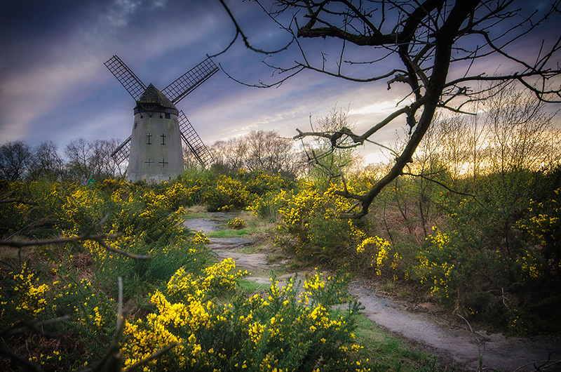 The Old Mill