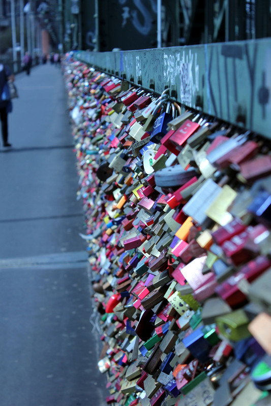 A Fence Full Of Memories