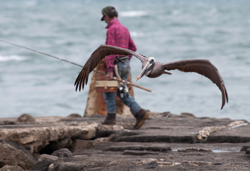 Anglers