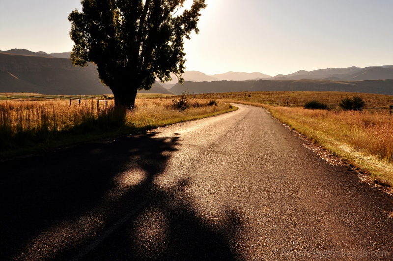 To the mountains