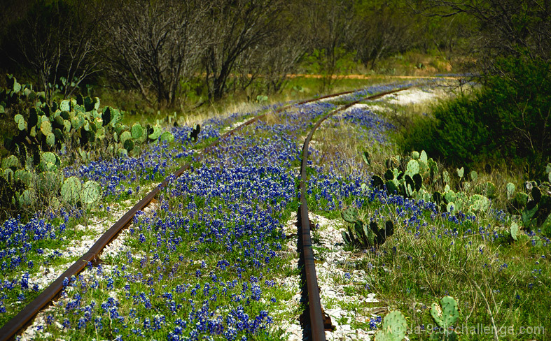 Railway to Heaven