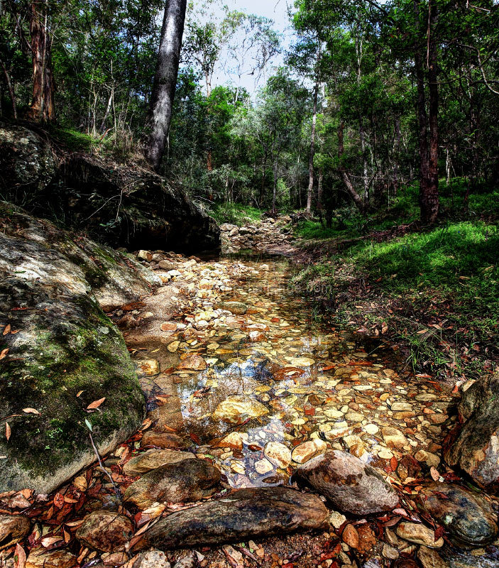 Nature's Lines Meander