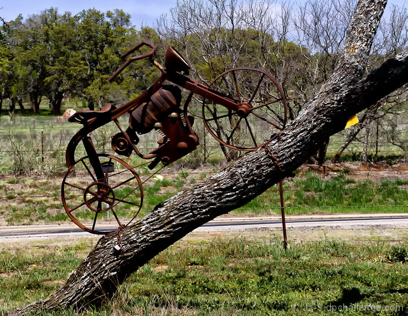 Up a Tree without a Pedal?