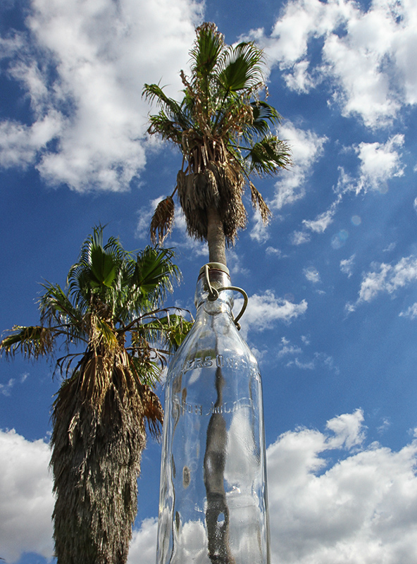 Tropical Island + Empty Bottle = Blurred Vision