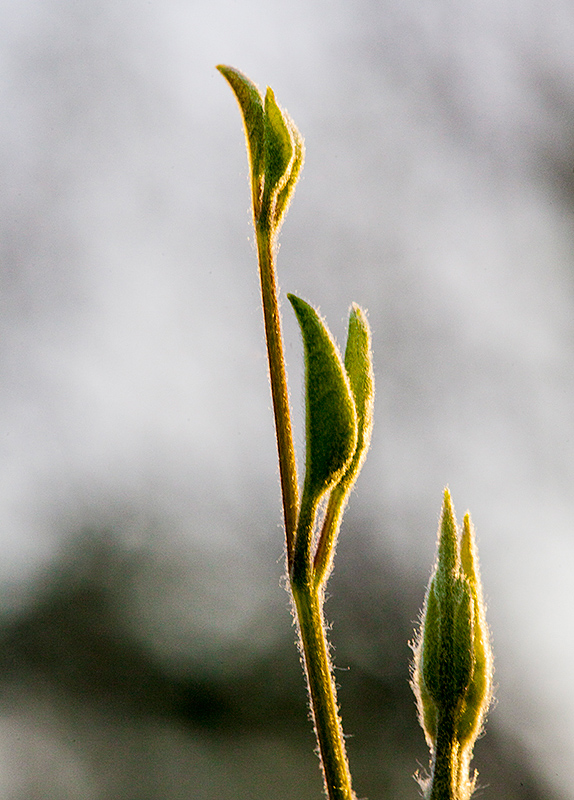 Reaching