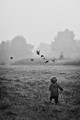 The Dream of Flight