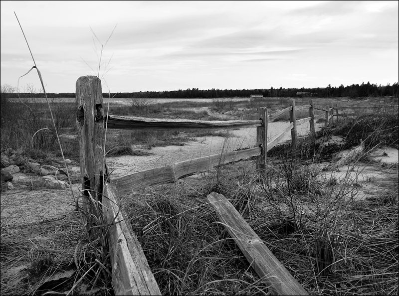 Broken Fences