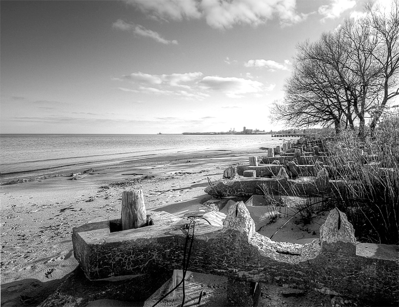 Pilings on the beach