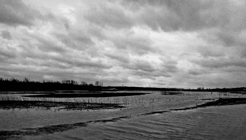 Flooded Marshland