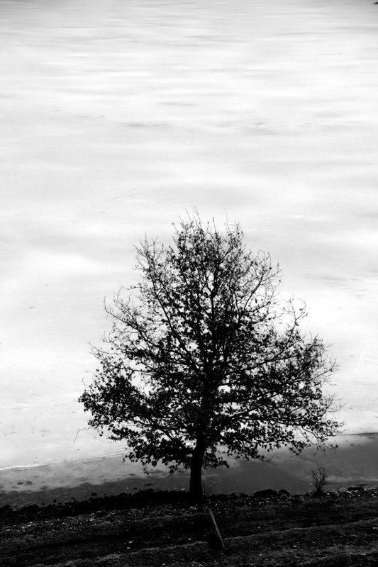 Spring Soon