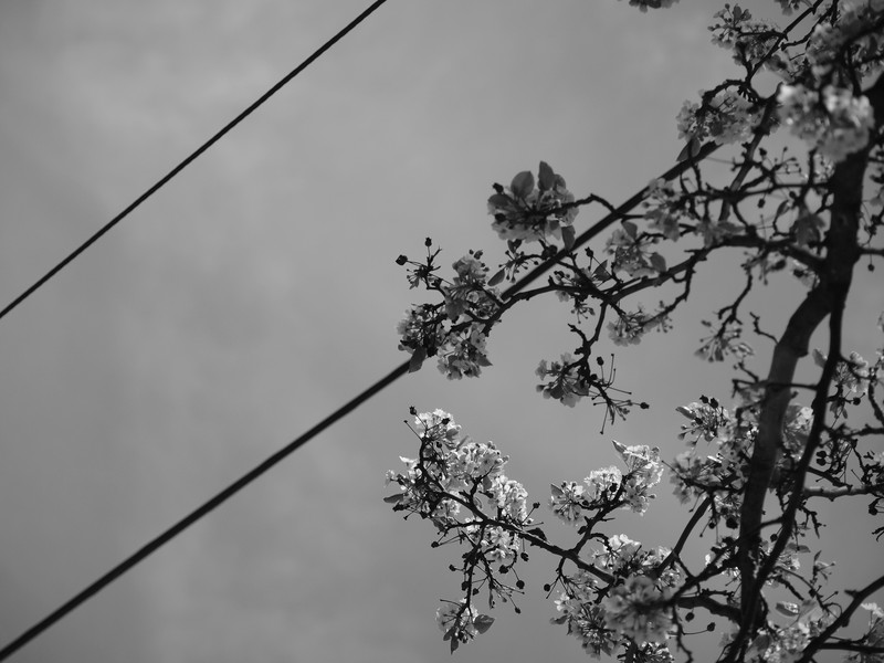 Spring time is here