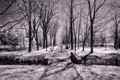First Snow
