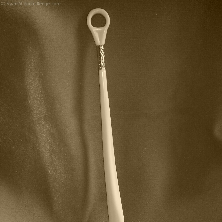 Vintage Shoehorn