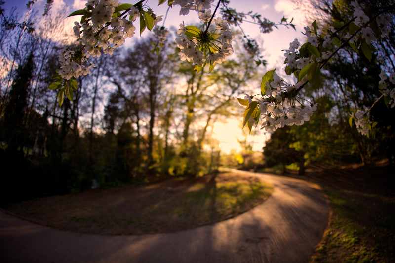 spring perspective