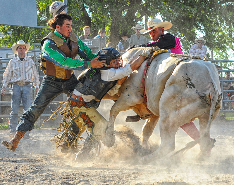  It's bulls and blood, It's dust and mud, It's spurs and latigo, This dream they call rodeo