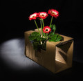 Budget Vase