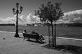 Bench Trio