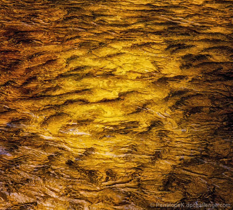 Gold  /  Fish