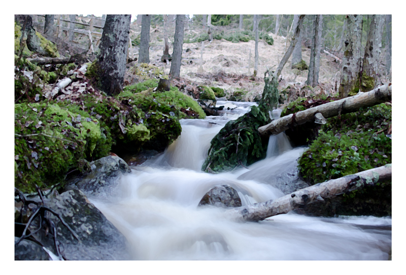 Wish Creek
