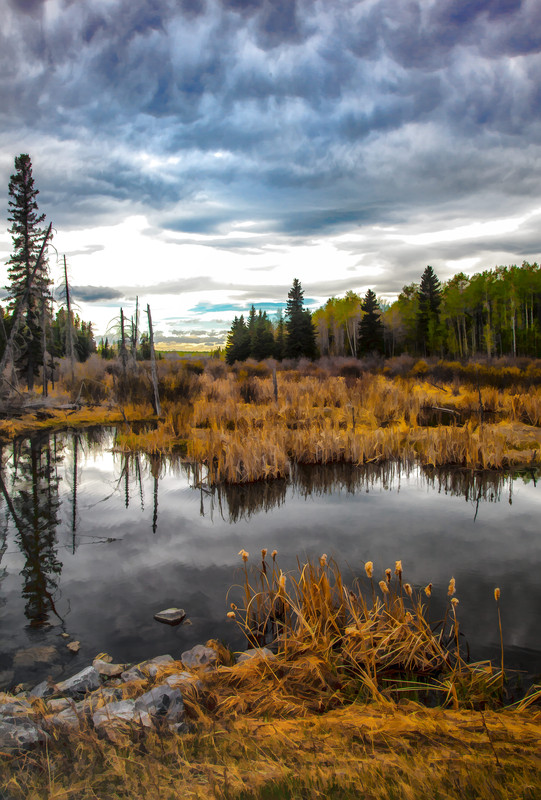 Morning on the Marsh