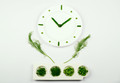 GreenVeg Time
