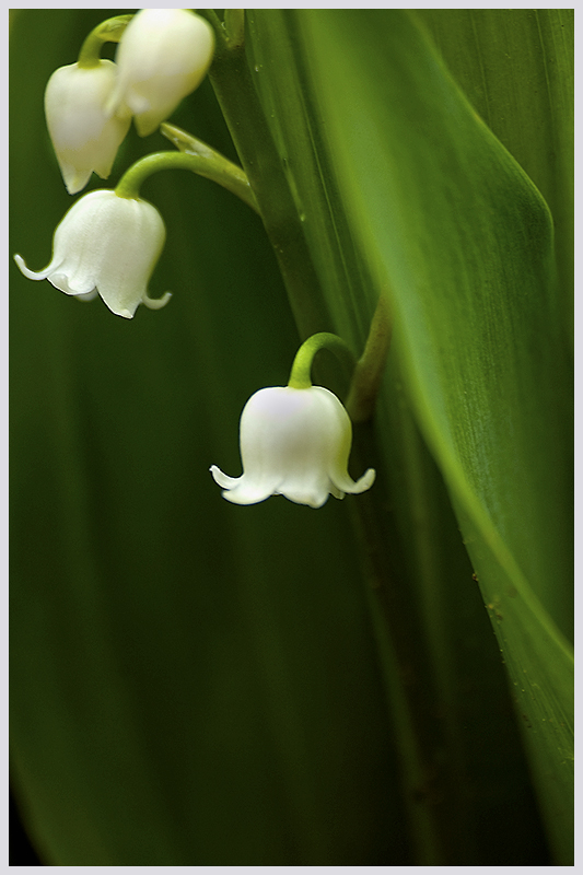 May